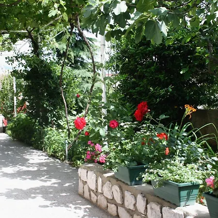 דירה With Wifi - 5483 נובי ווינודולסקי